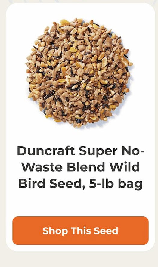 Duncraft Super No-Waste Blend Wild Bird Seed, 5-lb bag
