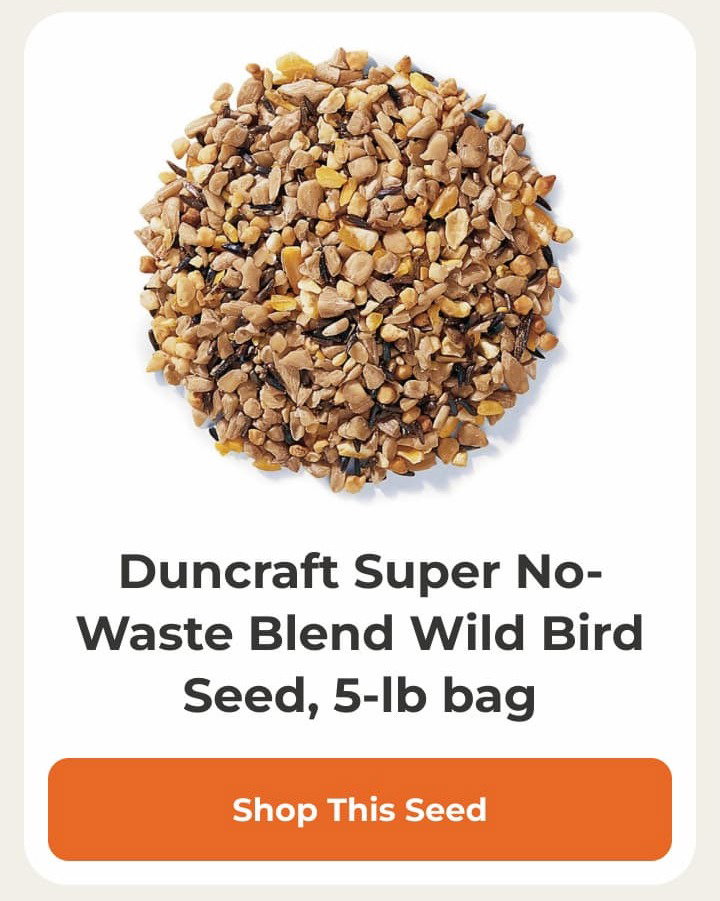 Duncraft Super No-Waste Blend Wild Bird Seed, 5-lb bag