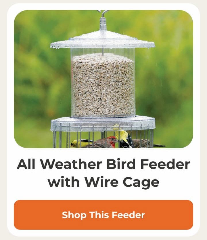 All Weather Bird Feeder with Wire Cage
