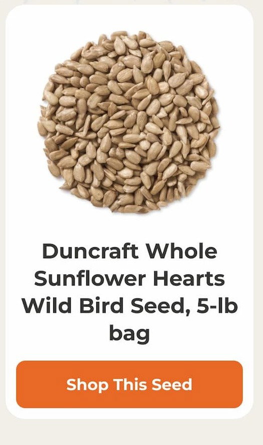 Duncraft Whole Sunflower Hearts Wild Bird Seed, 5-lb bag