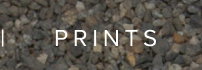 PRINTS