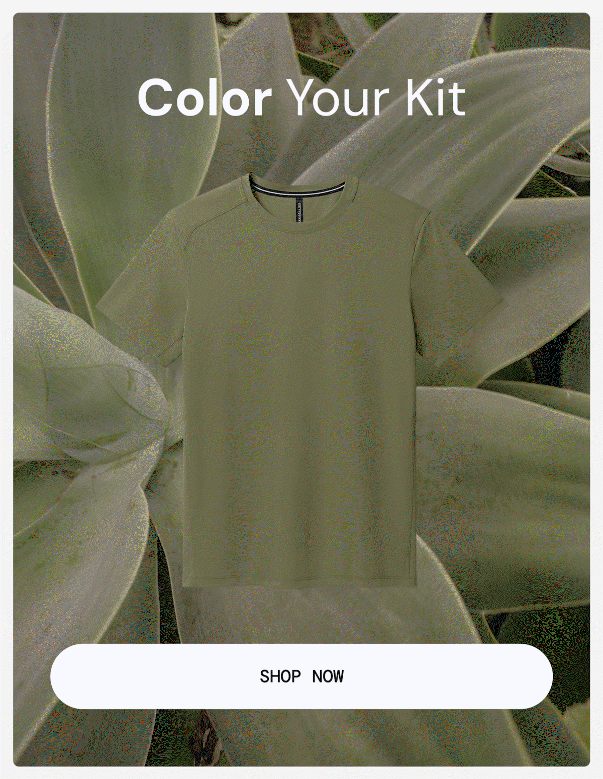 Gif: Color Your Kit