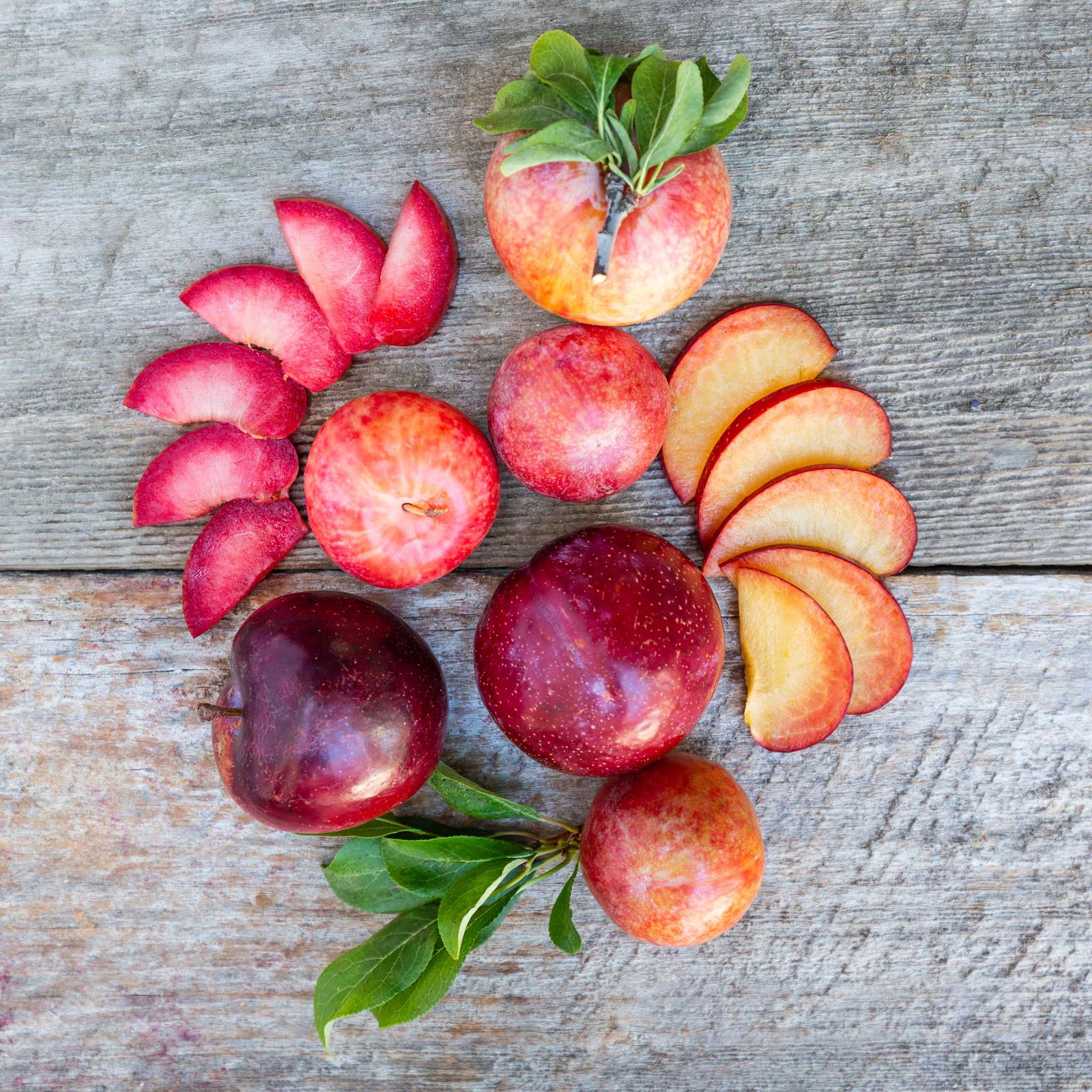 Image of Organic Pluots