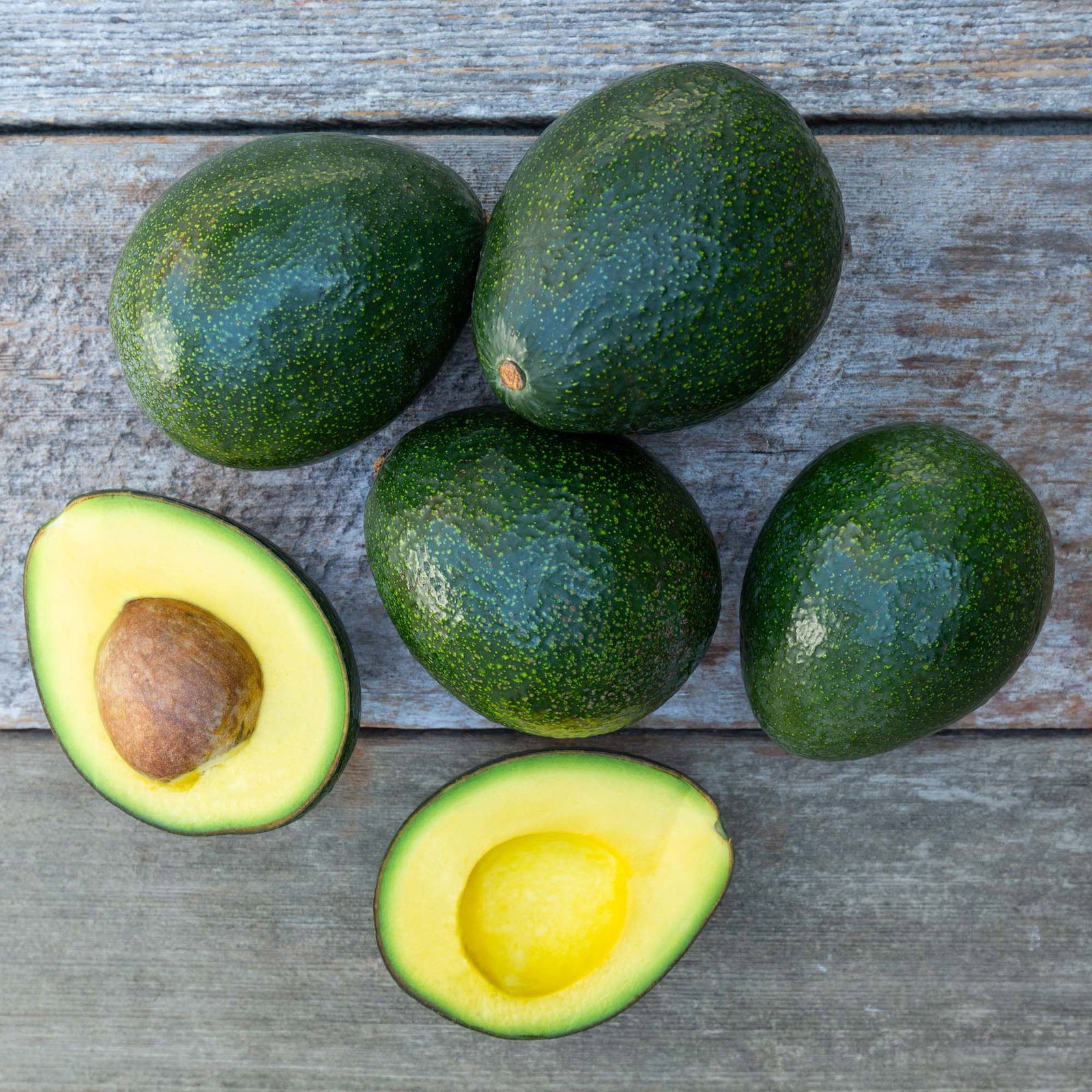 Image of Organic Reed Avocados