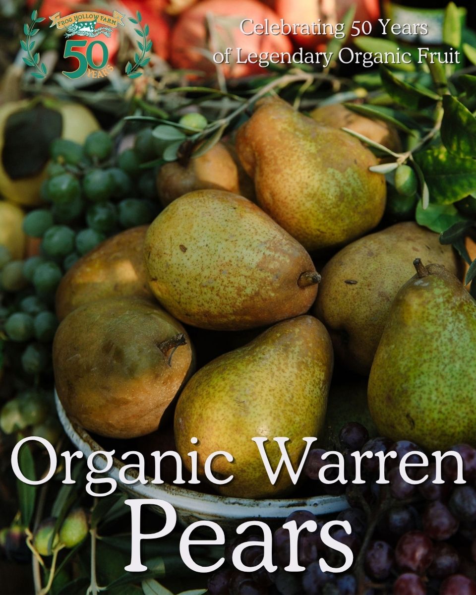 Organic Warren Pears
