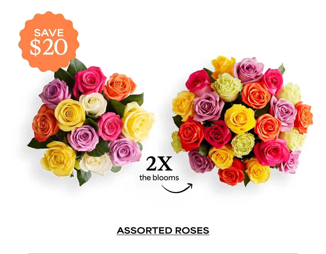 Assorted Roses