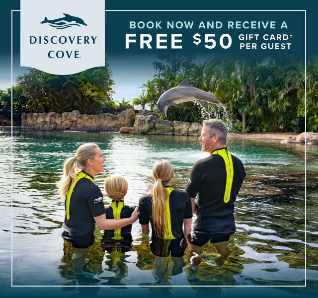 Plan your visit to Discovery Cove
