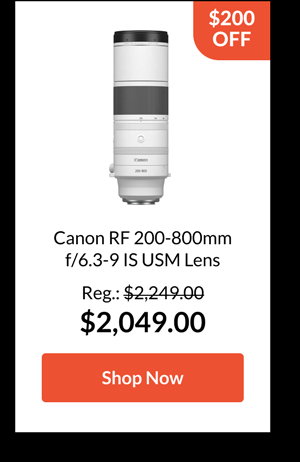 Canon RF 200-800mm f/6.3-9 IS USM Lens