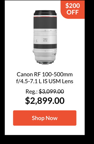 Canon RF 100-500mm f/4.5-7.1 L IS USM Lens