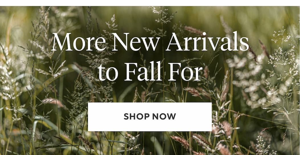More New Arrivals to Fall For Shop Now