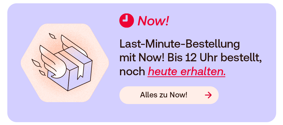 Illustration eines Pakets mit Flügeln als Symbol für schnelle Lieferung.