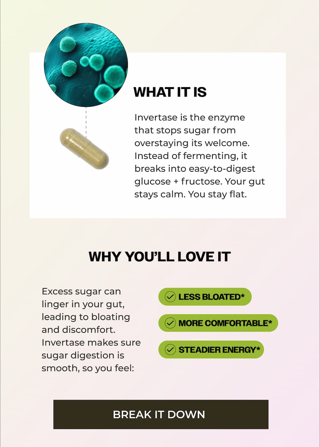 what is it? what you'll love