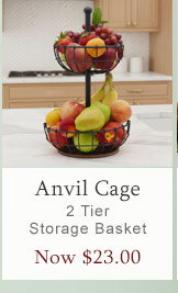 Shop Anvil Cage