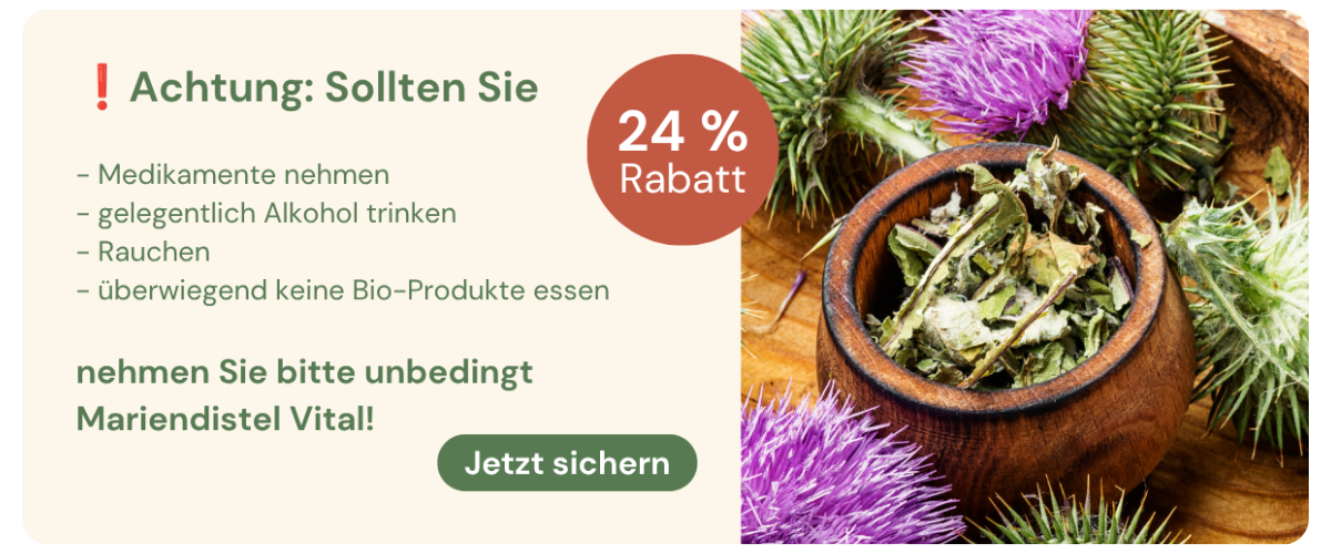 Mariendistel