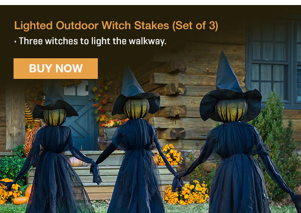 Lighted Outdoor Witch Stakes (Set of 3)