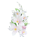 Image of O'Creme Tropical Orchid Spray Gumpaste Flower