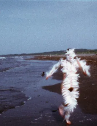 Ana Mendieta's True Legacy Takes Flight at Tate Modern
