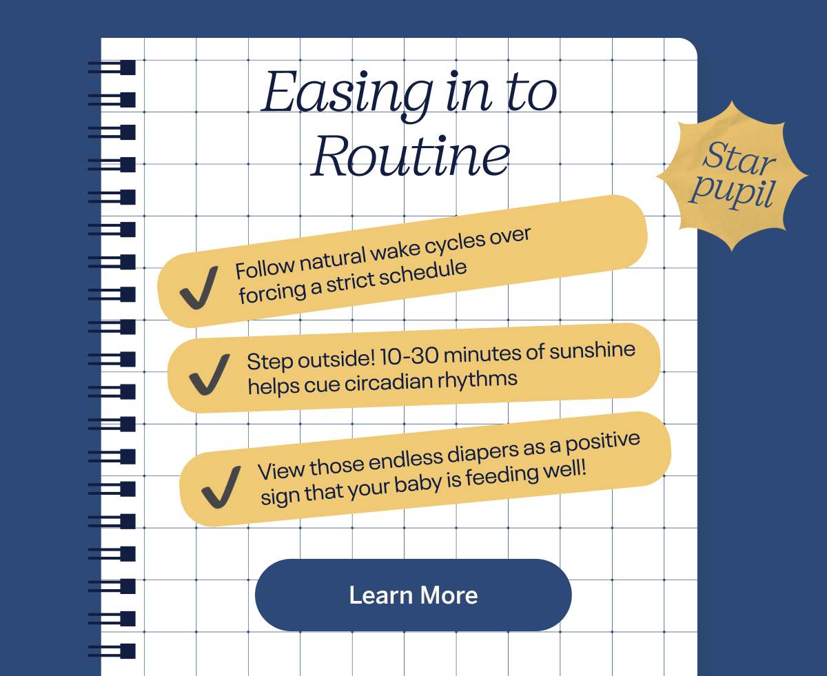 Easing in to Routine