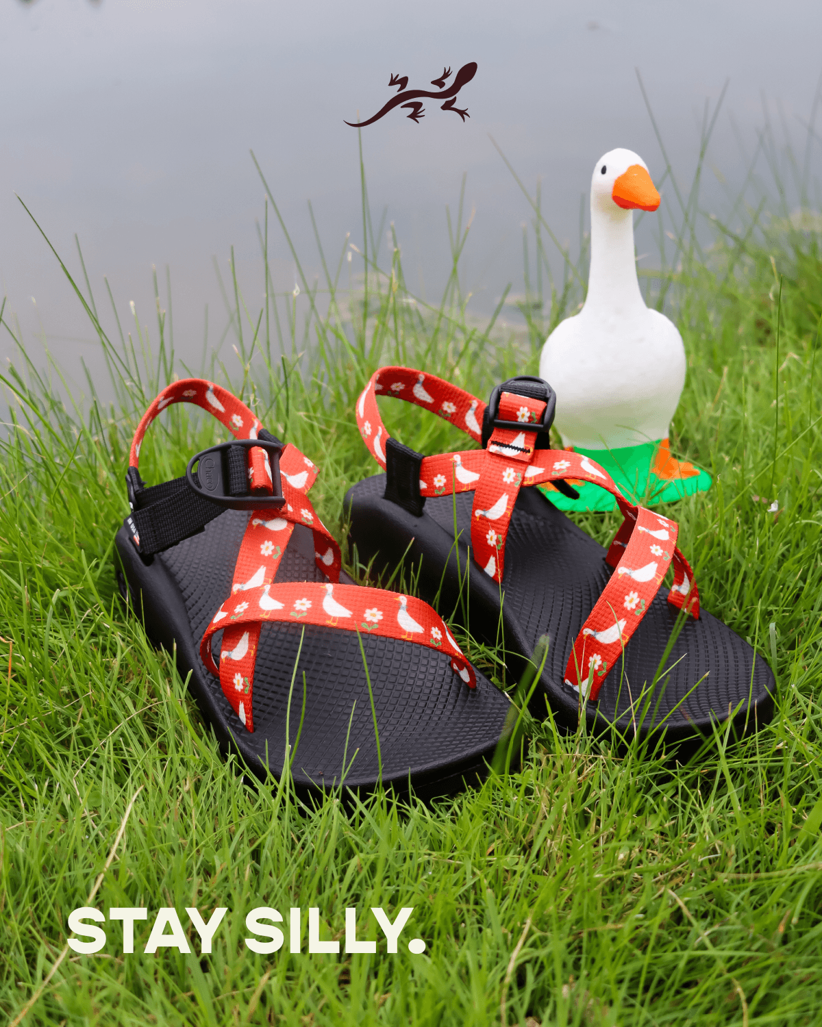 CHACOS. Stay silly