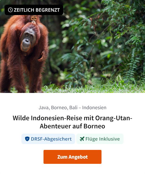 Wilde Indonesien-Reise mit Orang-Utan-Abenteuer auf Borneo