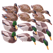 Avian-X AXP Outfitter Full-Body Mallard Duck Decoys 12-Pack