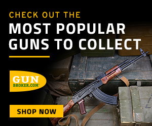 Most Popular Guns to Collect
