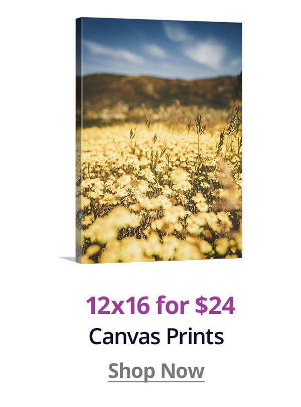 12x16 Canvas Prints for $24! Shop Now