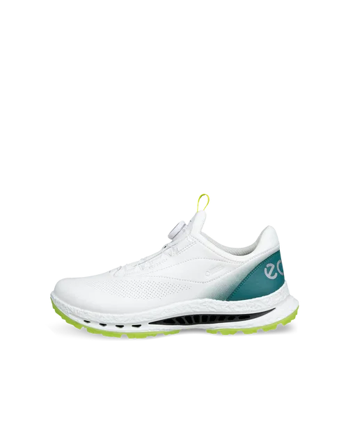 ECCO Golf Biom C5