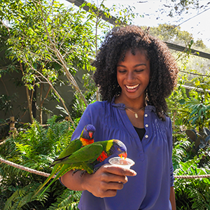 The Elite VIP Tour at Busch Gardens