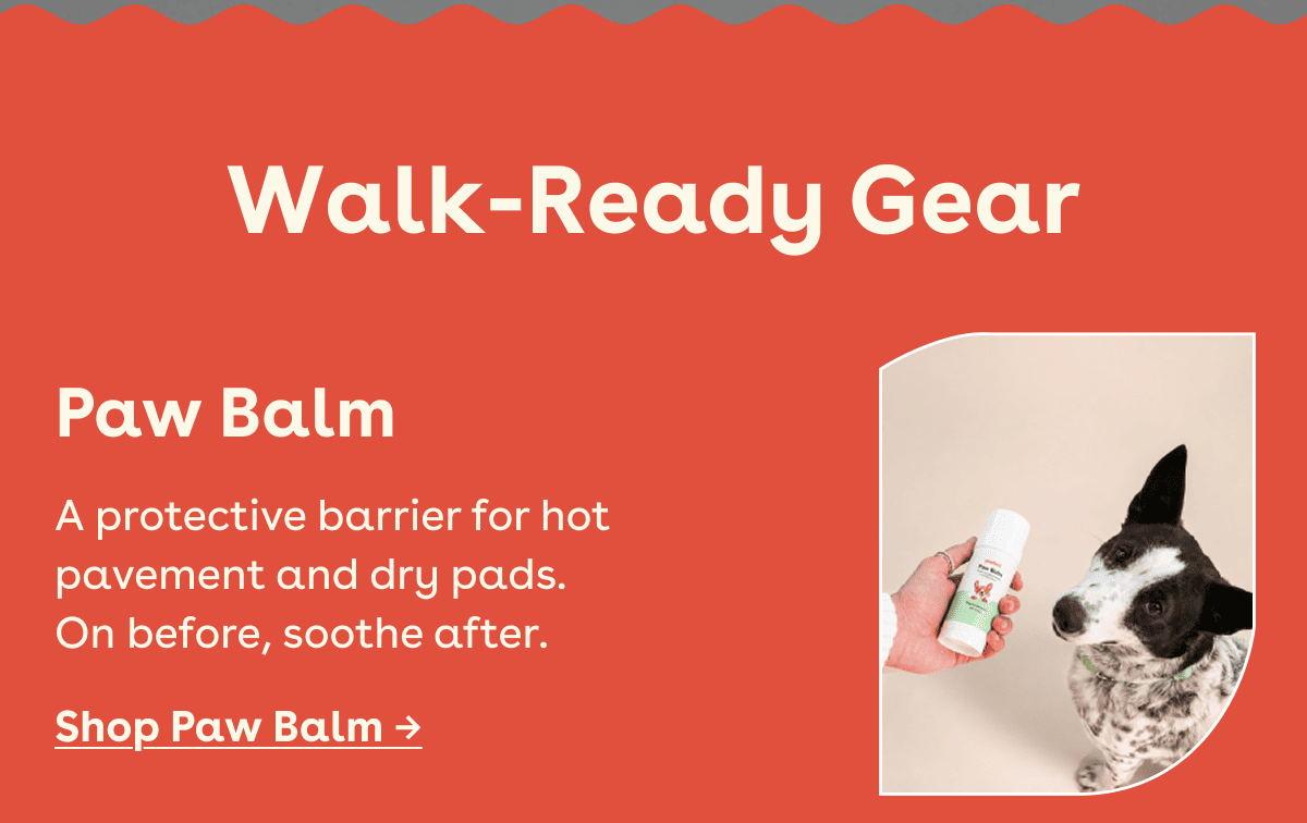 Walk ready gear 