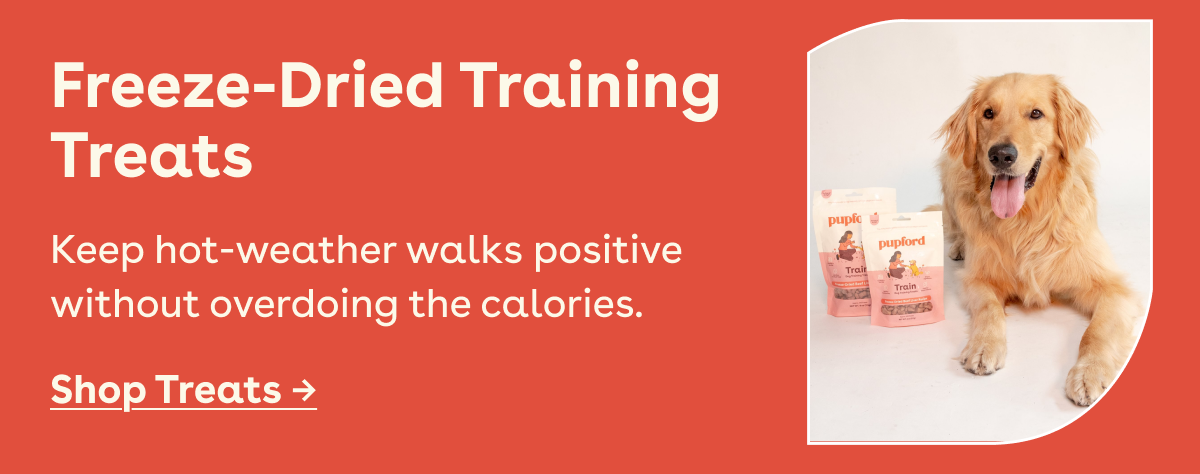 Freeze dried training treats 