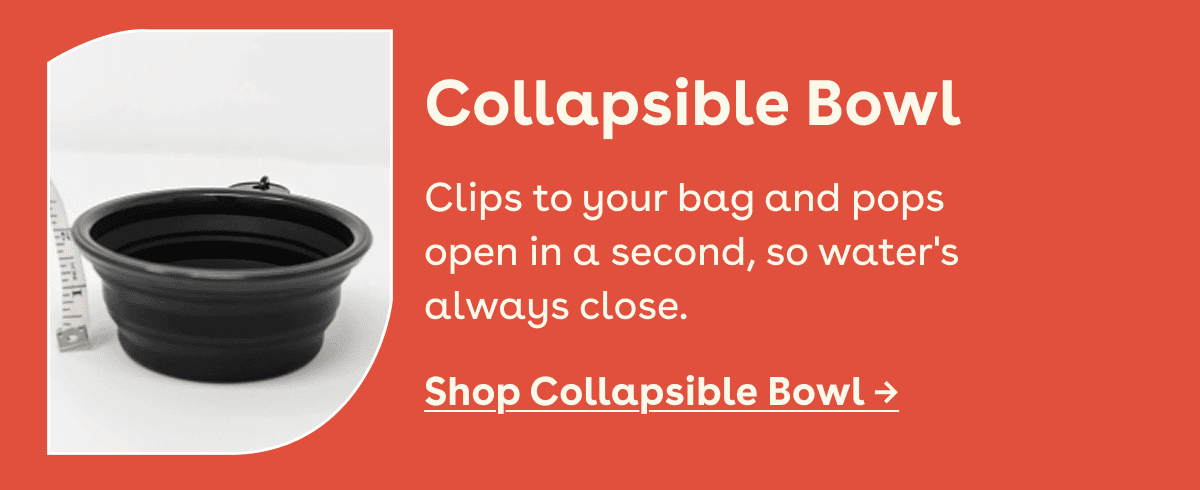Collapsable bowl 