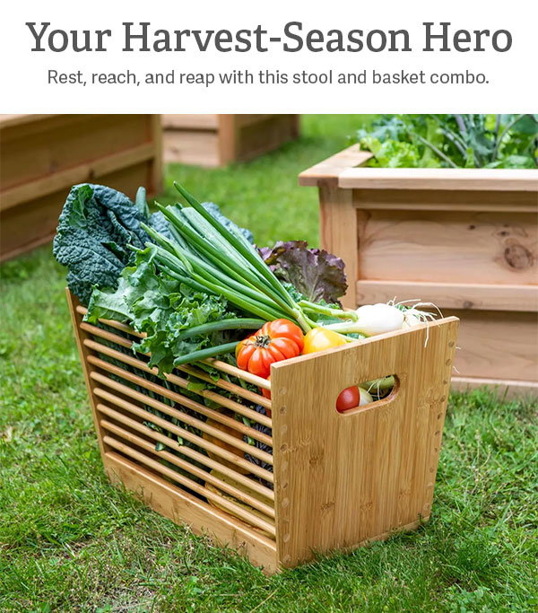 Your Harvest-Season Hero - Rest, reach, and reap with this stool and basket combo. 