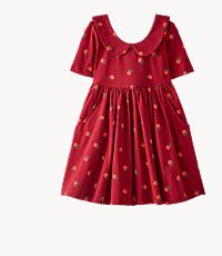 Collared Skater Dress with Pockets