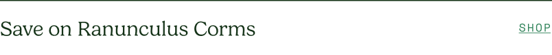 Save on Ranunculus Corms