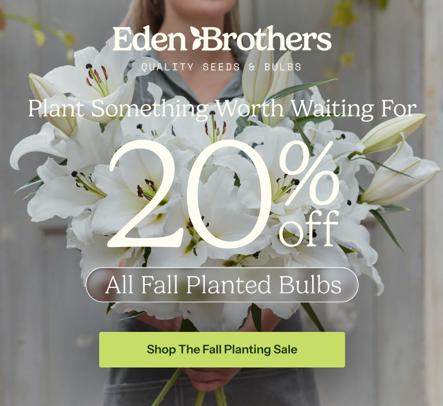 20% Off Fall Bulbs