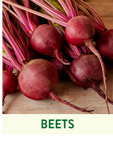 Beet Seeds