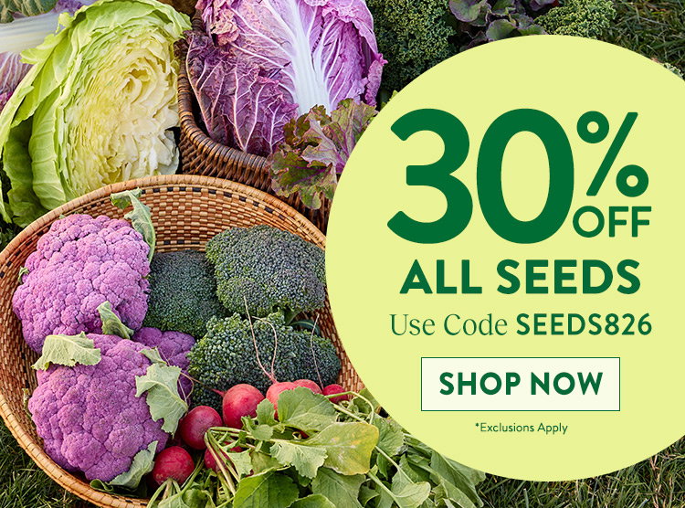 Fall Harvest Vegetables