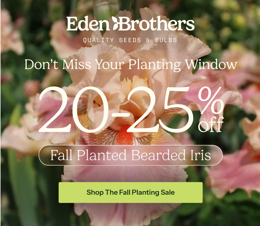 20% Off Fall Bulbs