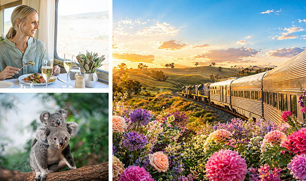 From Fiordlands to Flowers: New Zealand Voyage and All-Inclusive Indian Pacific Rail with Australia in Bloom w/ Airfare