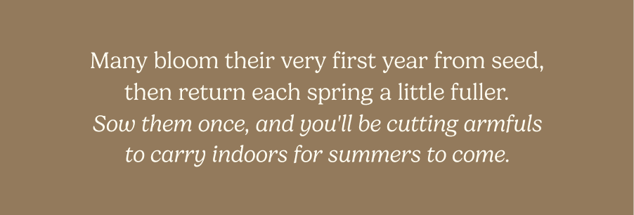 Many bloom their very first year from seed, then return each spring a little fuller. Sow them once, and you'll be cutting armfuls to carry indoors for summers to come.