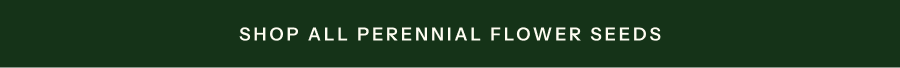 SHOP ALL PERENNIAL FLOWER SEEDS