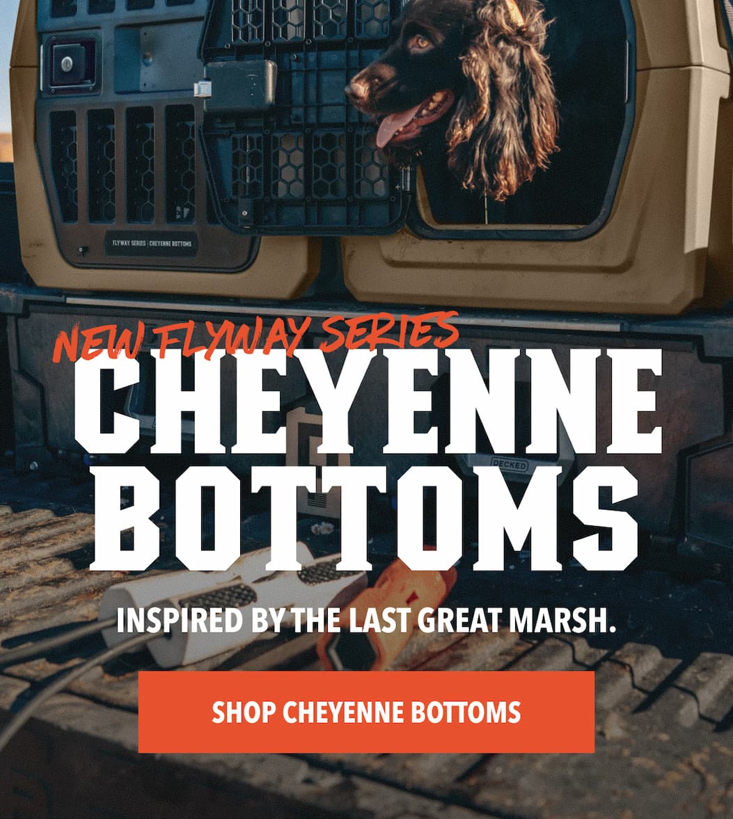 New Flyway Series: Cheyenne Bottoms