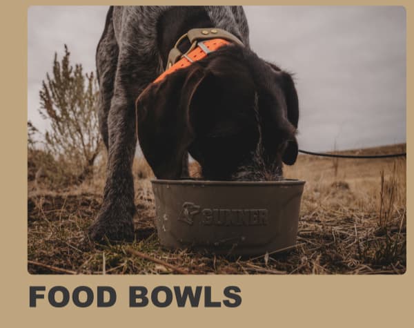 Food Bowls