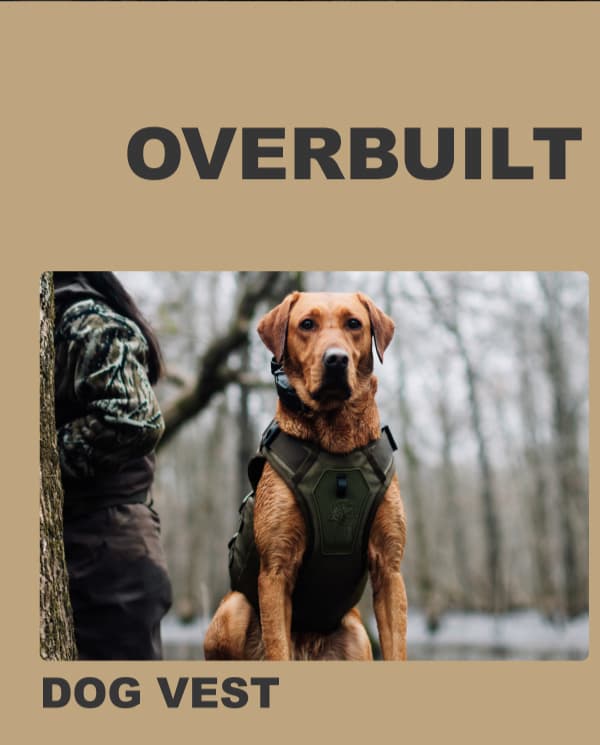 Dog Vest
