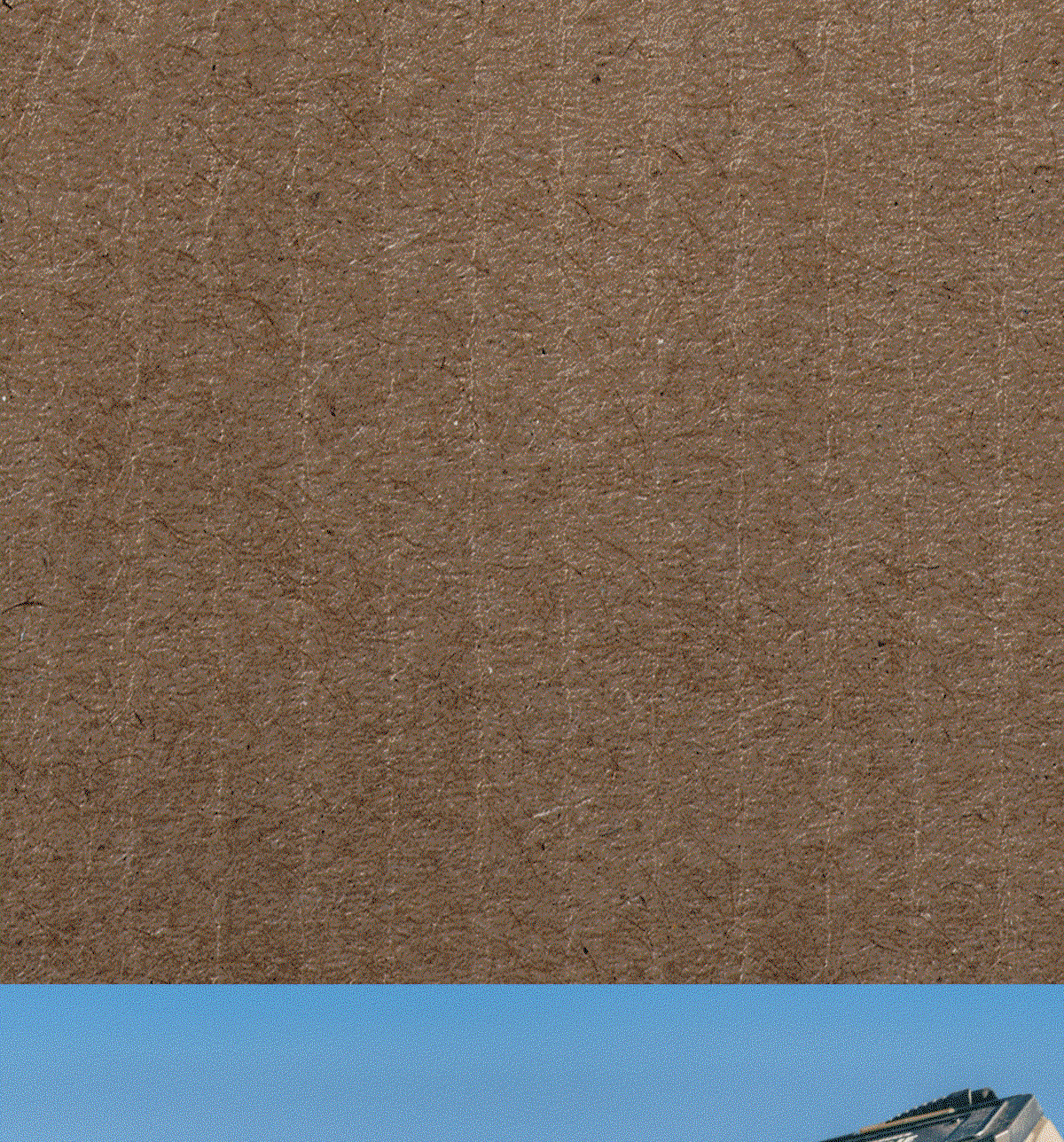 New Flyway Series: Cheyenne Bottoms