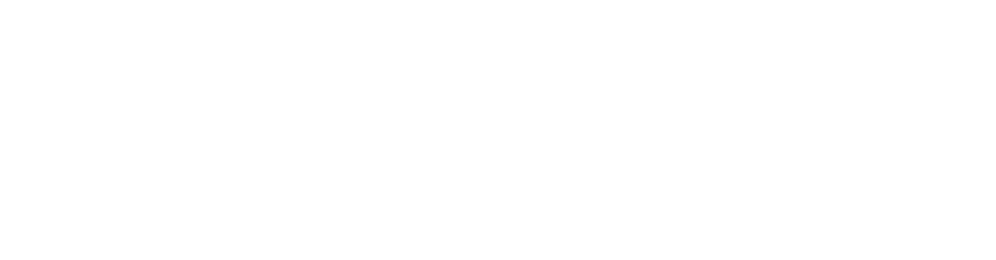 Carhartt Work In Progress
