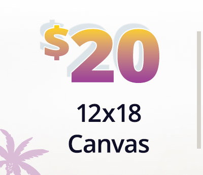 12x18 canvas for $20