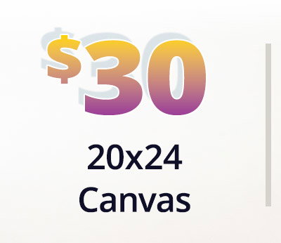 20x24 canvas for $30