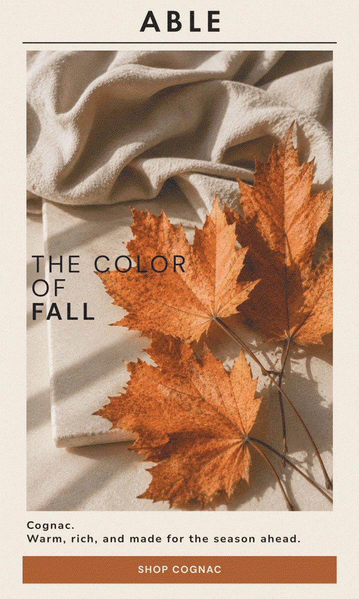 THE COLOR OF FALL over a GIF of cognac leather photos and fall inspired photos. Warm, rich, and made for the season ahead. SHOP COGNAC button.